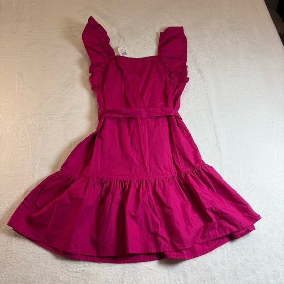 NWT GAP Fuchsia Kids Dress with Ruffle Sleeves - Picture 2 of 4